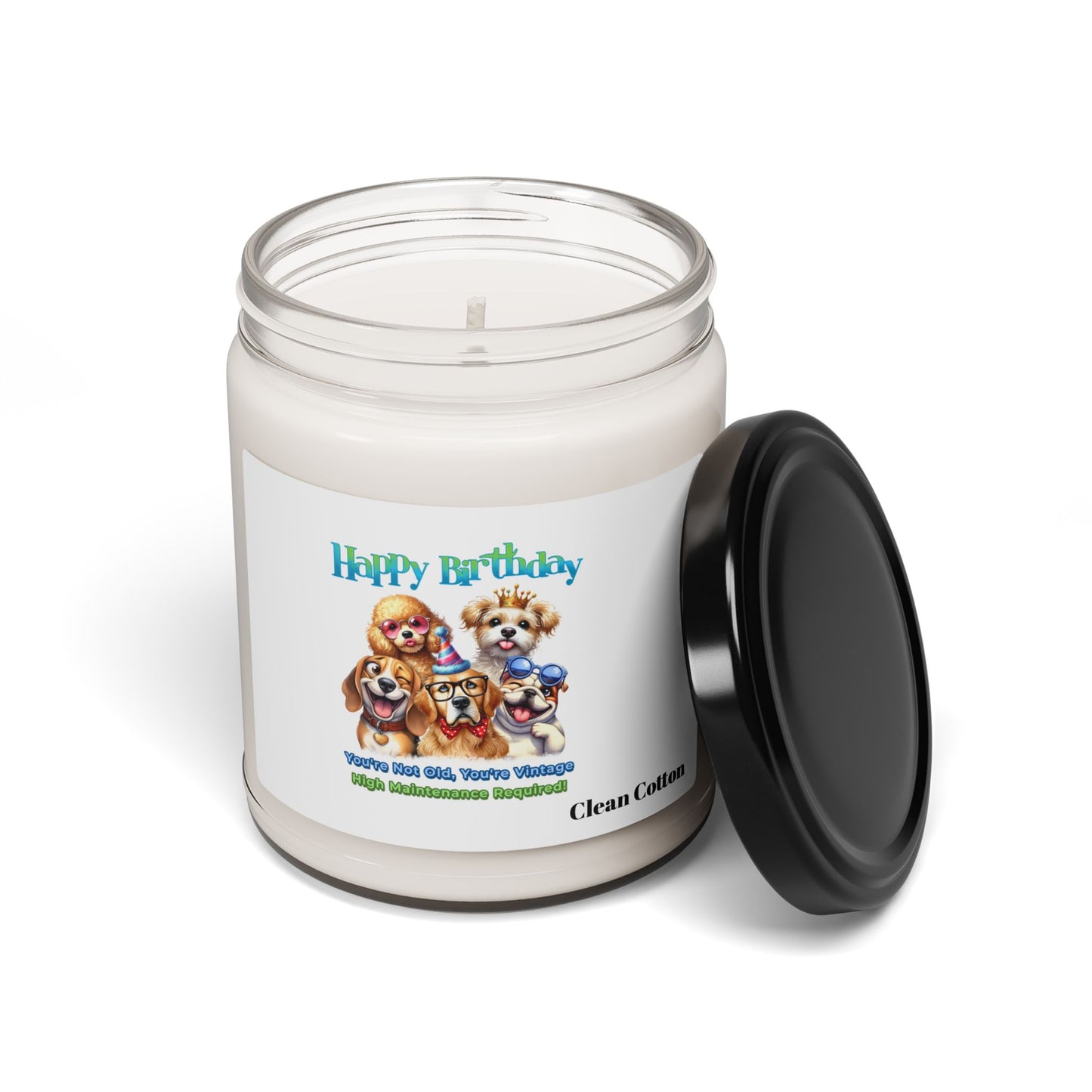 You’re Not Old, You’re Vintage Scented Candle – Funny Dog Gift