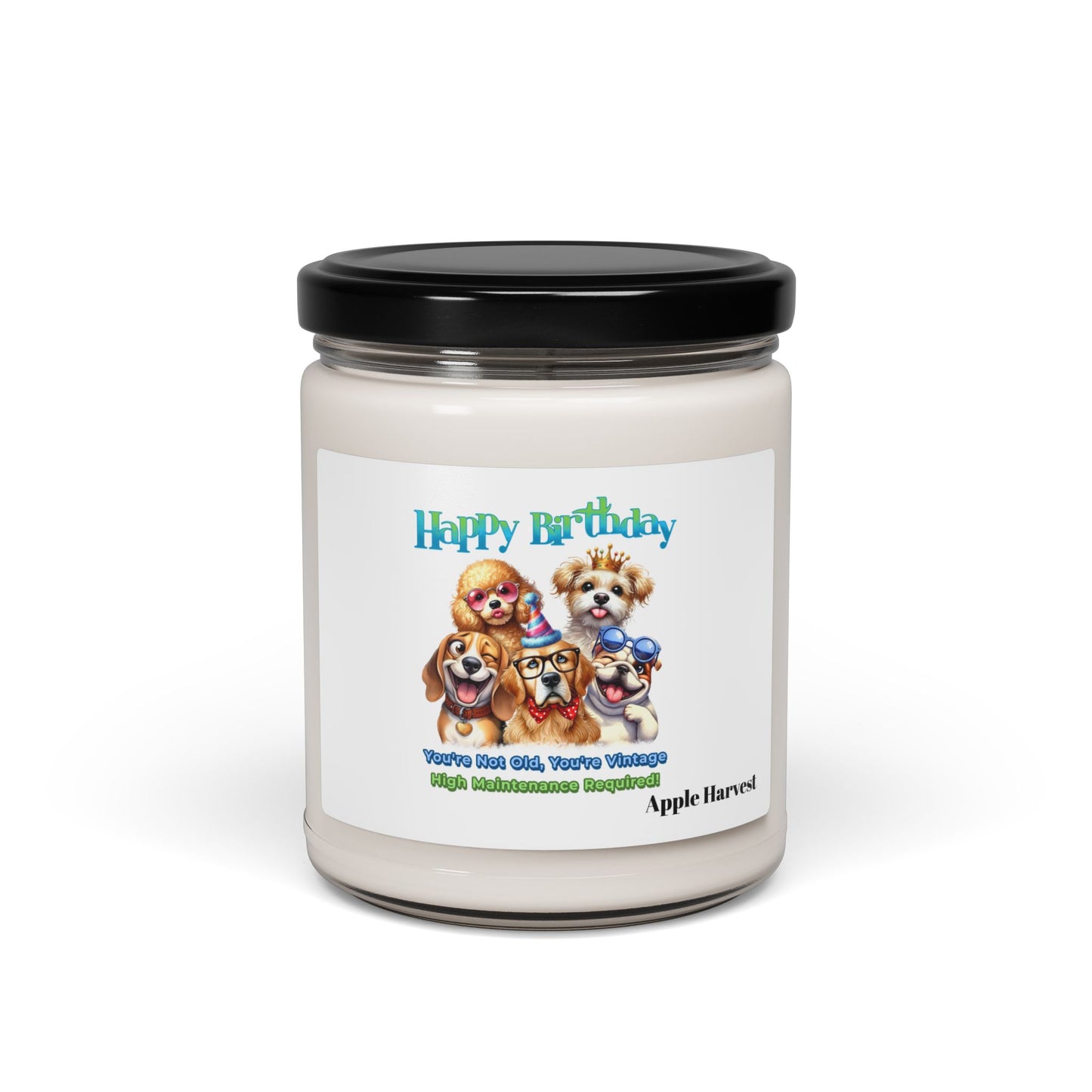 You’re Not Old, You’re Vintage Scented Candle – Funny Dog Gift