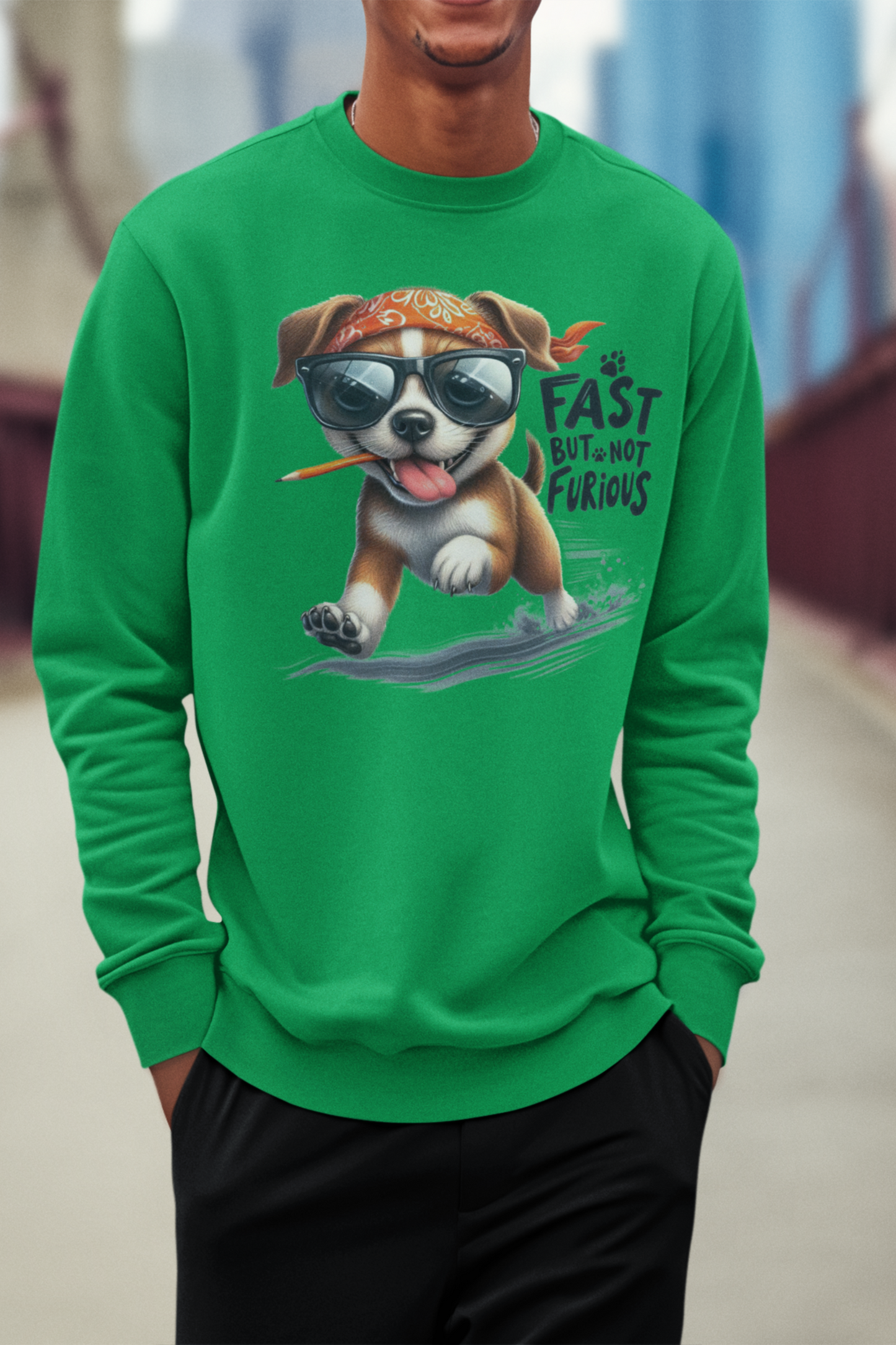 Fast But Not Furious Sweatshirt – Funny Gift for Car or Dog Lovers
