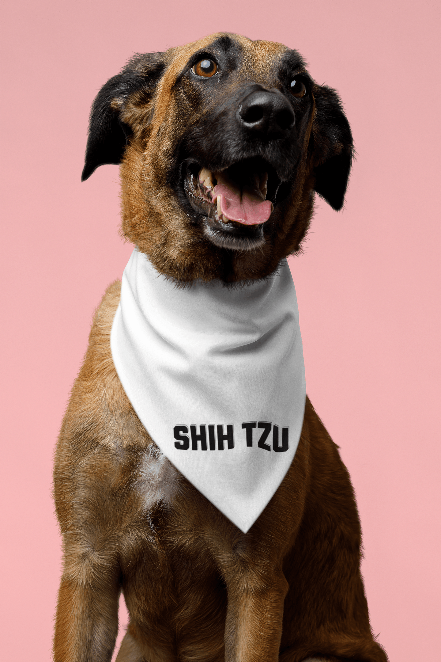 Trendy Shih Tzu Text Dog Bandana – Stylish & Comfortable Pet Wear