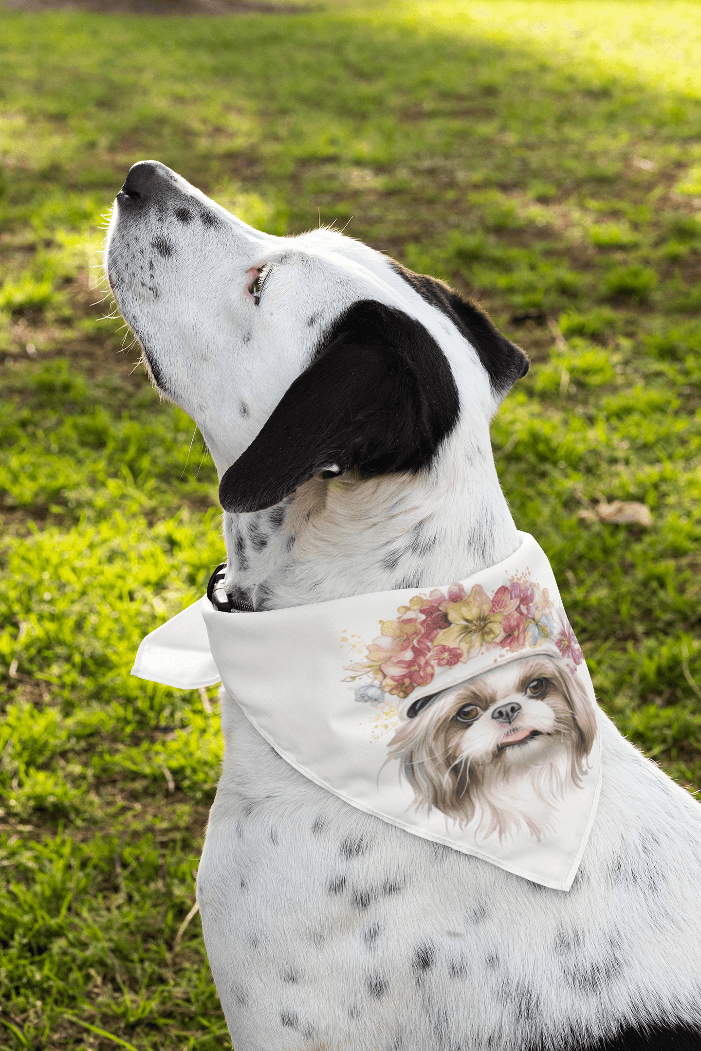 Shih Tzu With Flower Hat Pet Bandana - Shih Tzu Gifts