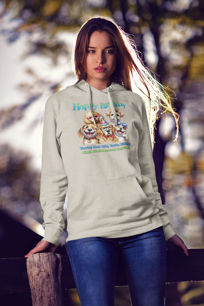 Funny Dog Birthday Hoodie – You’re Not Old, You’re Vintage Gift