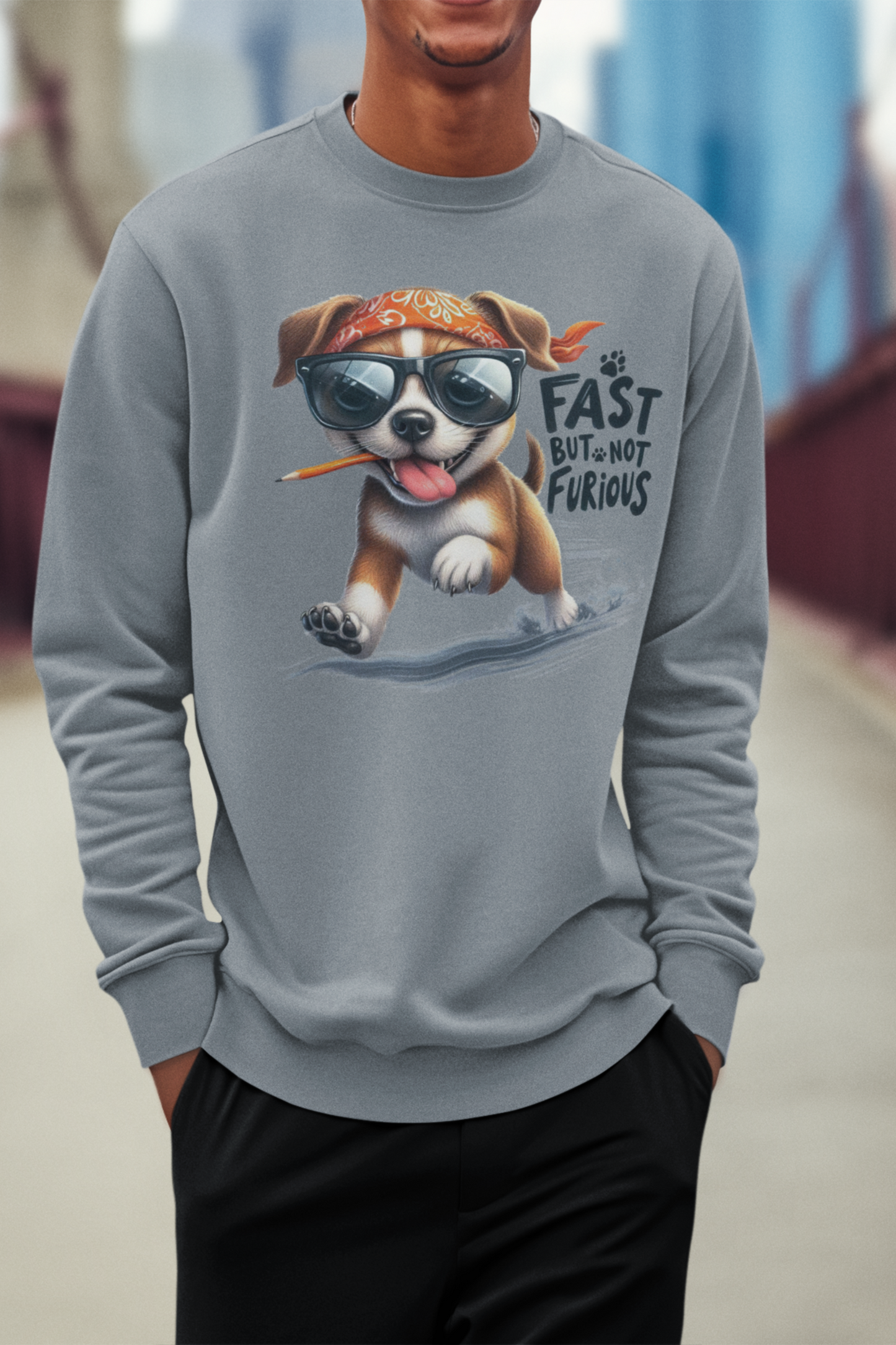 Fast But Not Furious Sweatshirt – Funny Gift for Car or Dog Lovers