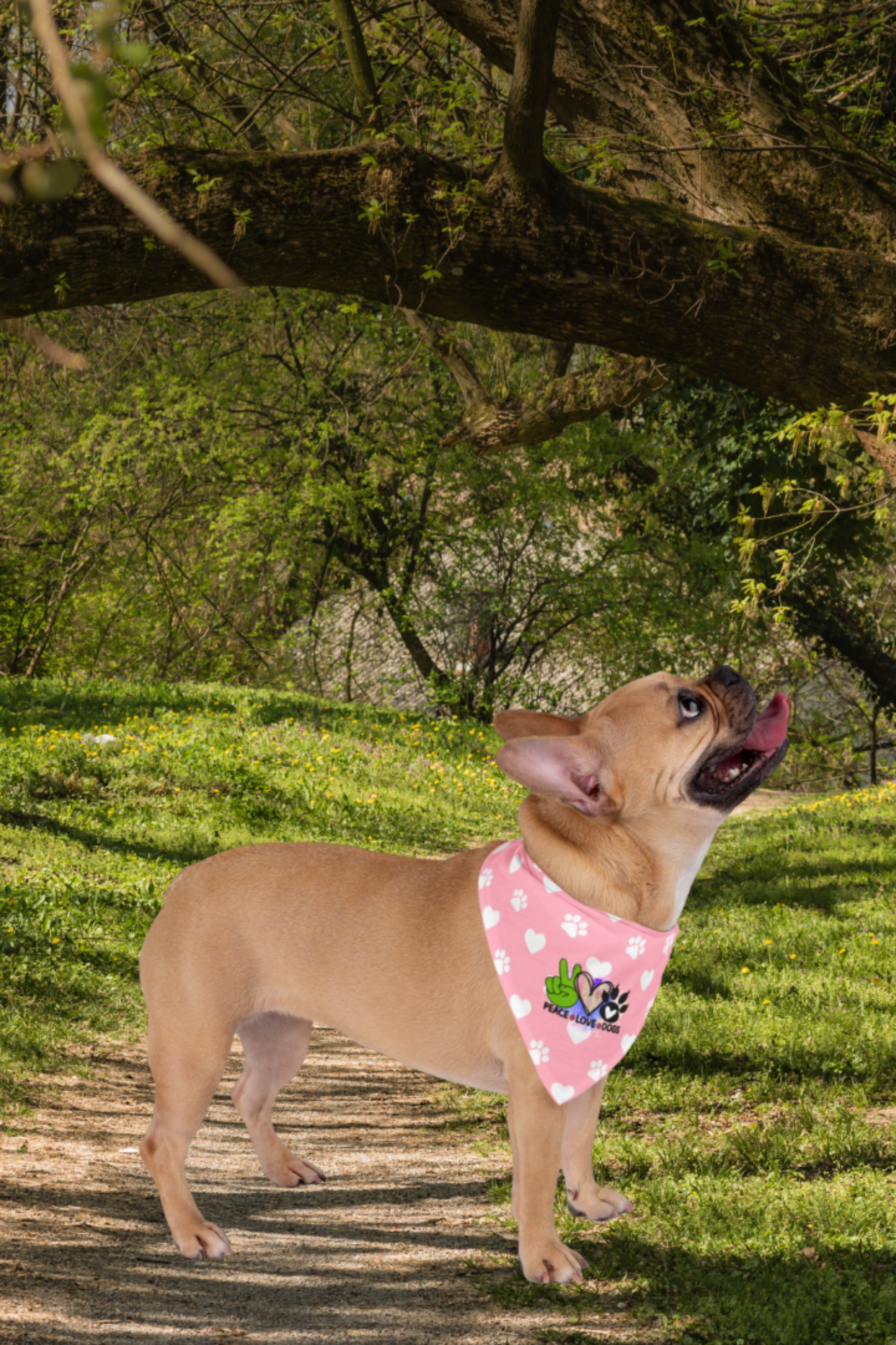 Peace Love Dogs Bandana – Stylish Gift for Shih Tzu Lovers & Owners