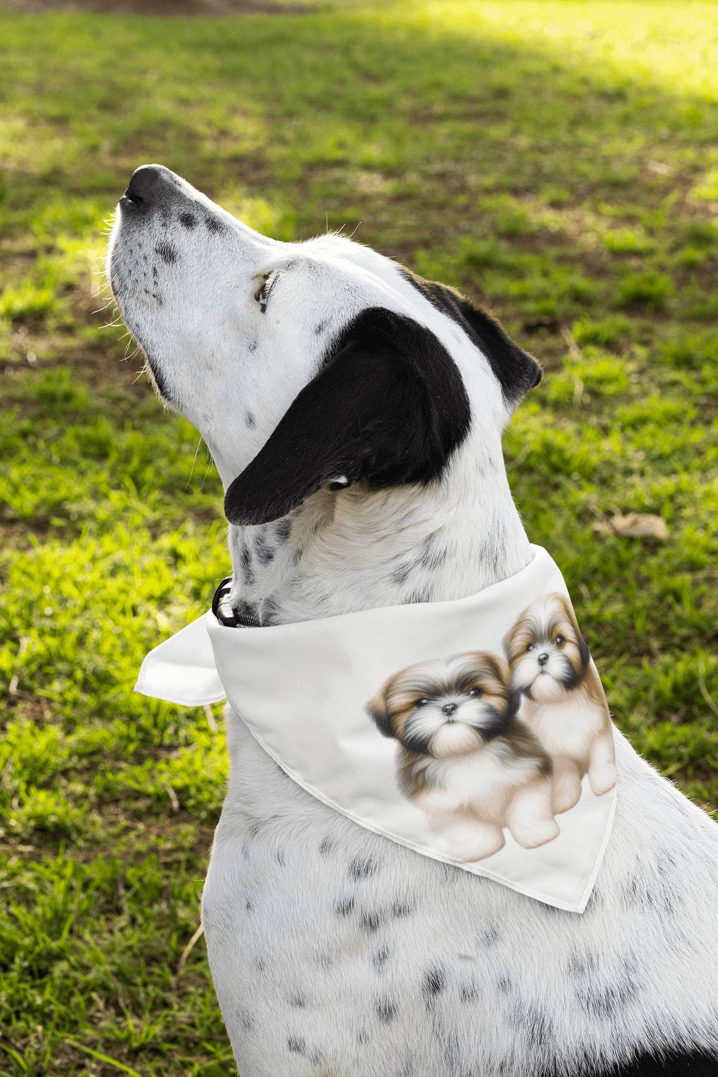 Two Babies Shih Tzu Pet Bandana - Shih Tzu Gifts
