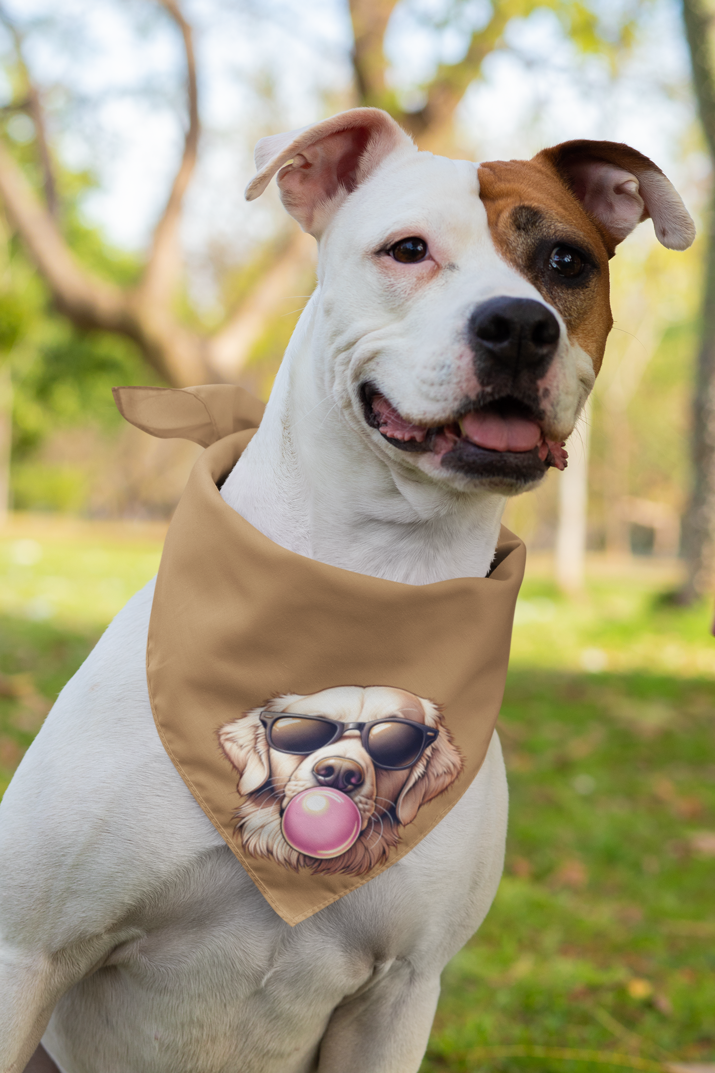 Golden-with-Gum--white-Pet Bandana