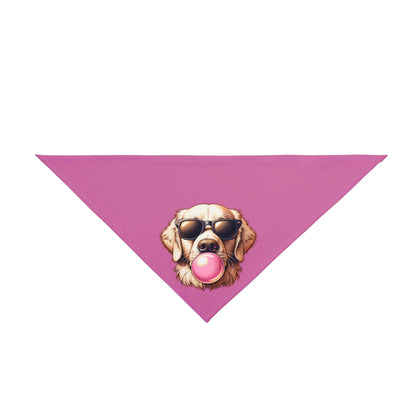 Golden-with-Gum--white-Pet Bandana