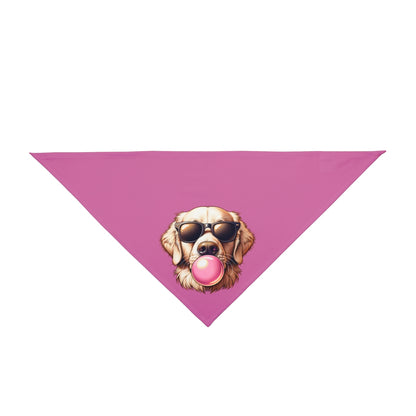 Golden-with-Gum--white-Pet Bandana