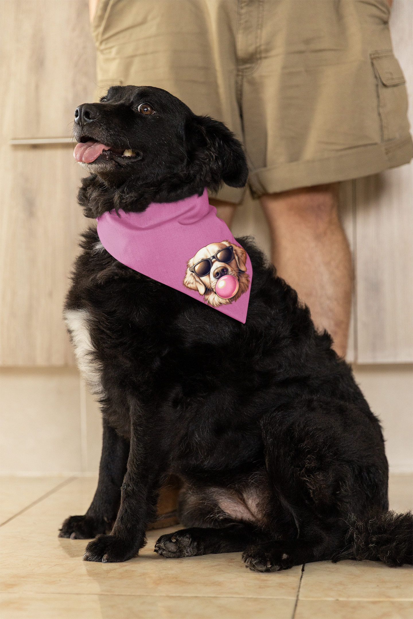 Golden-with-Gum--white-Pet Bandana