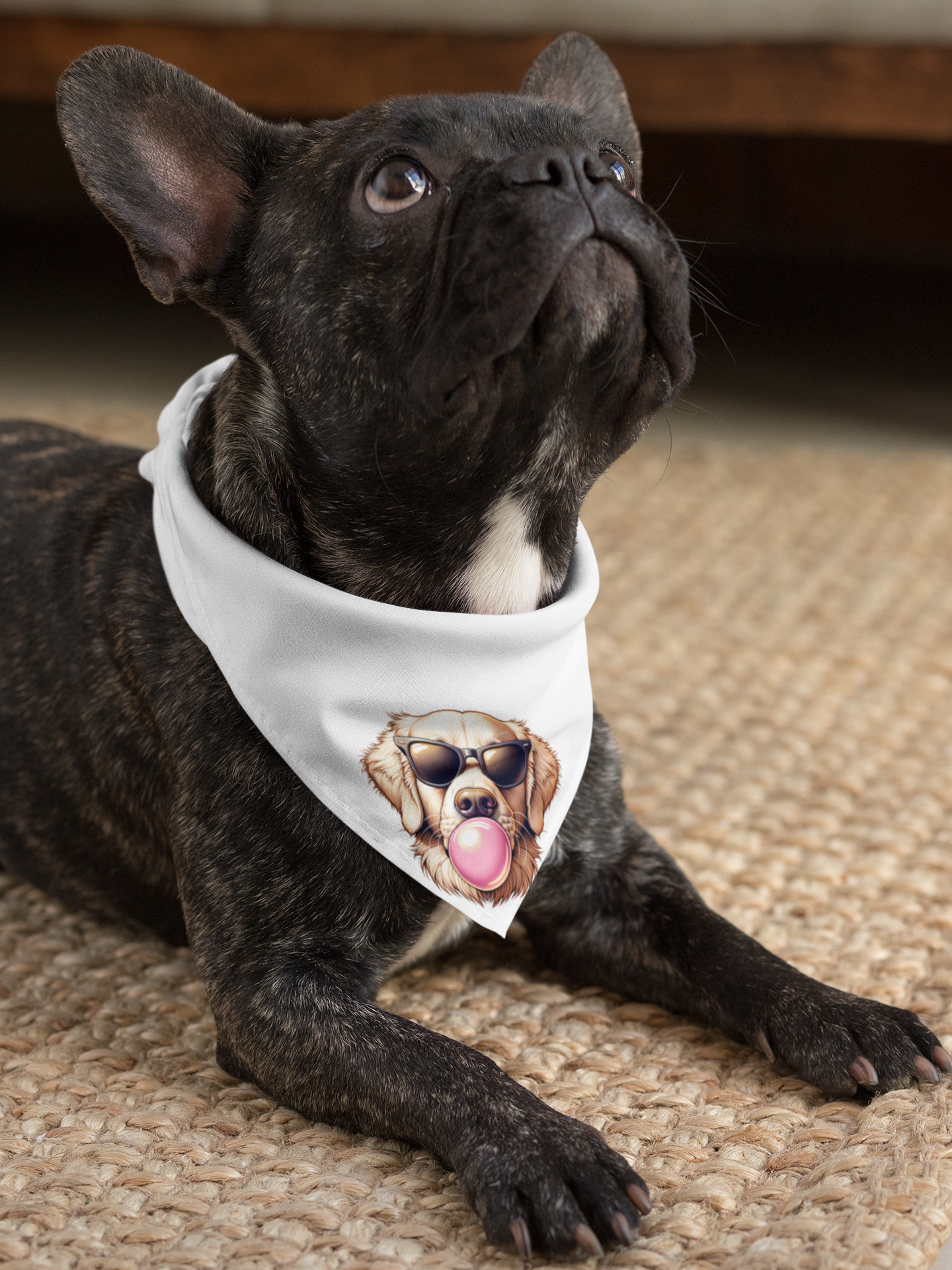 Golden-with-Gum--white-Pet Bandana