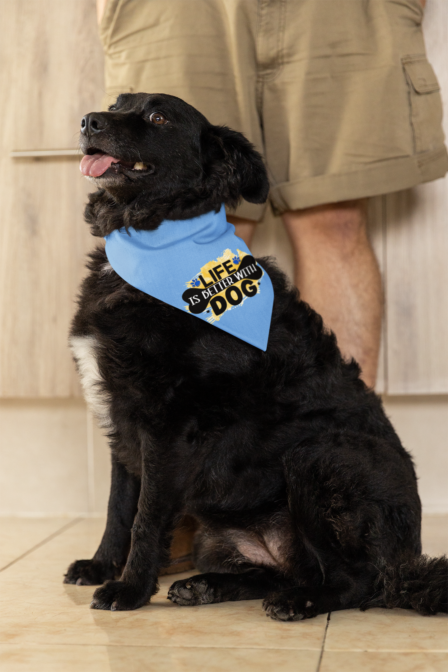 Life Is Better With Dog Bandana – Cute Gift for Shih Tzu Lovers