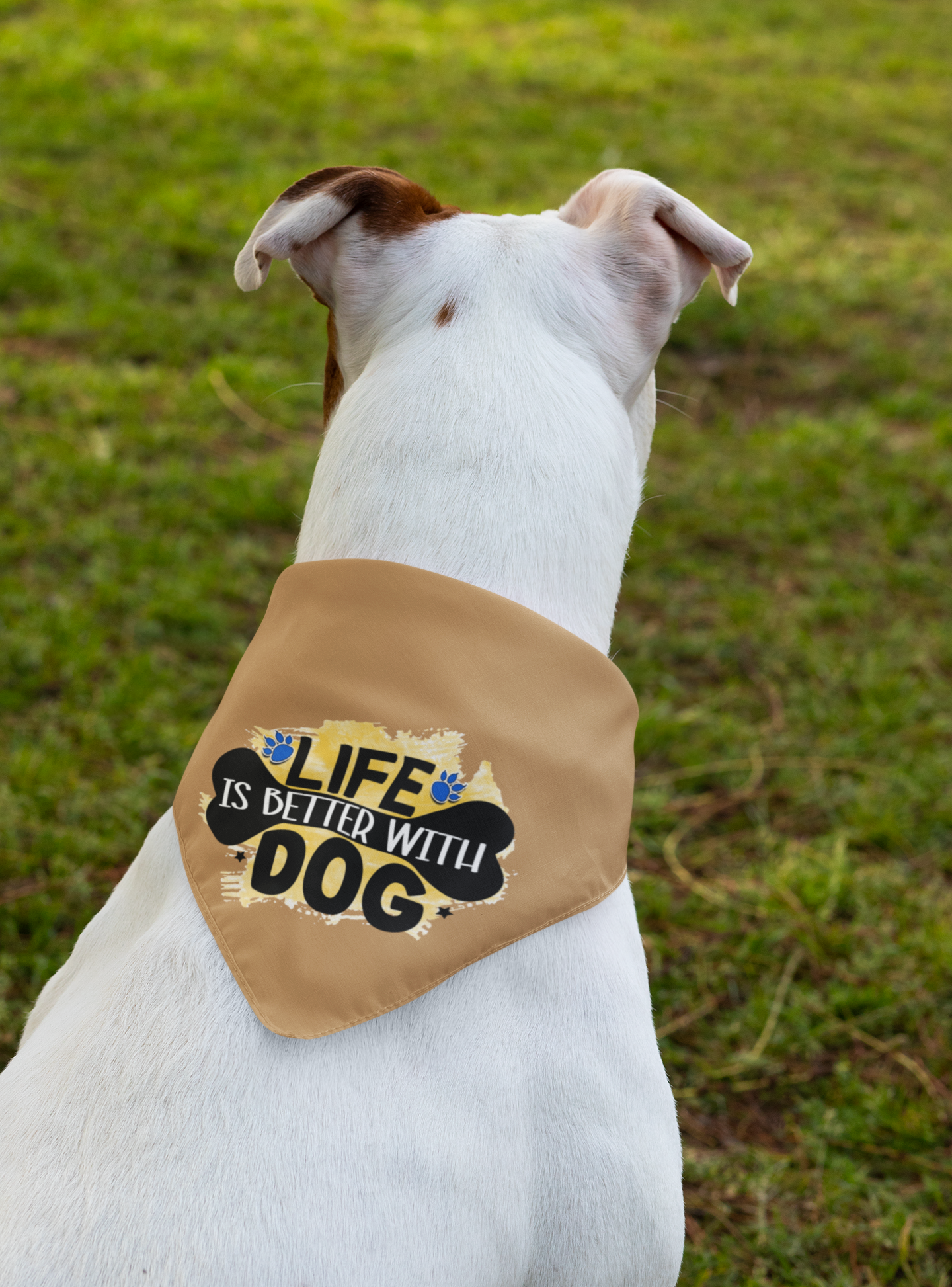 Life Is Better With Dog Bandana – Cute Gift for Shih Tzu Lovers
