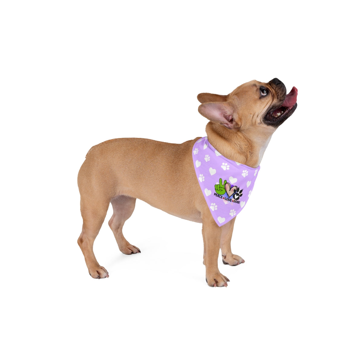 Peace Love Dogs Bandana – Stylish Gift for Shih Tzu Lovers & Owners