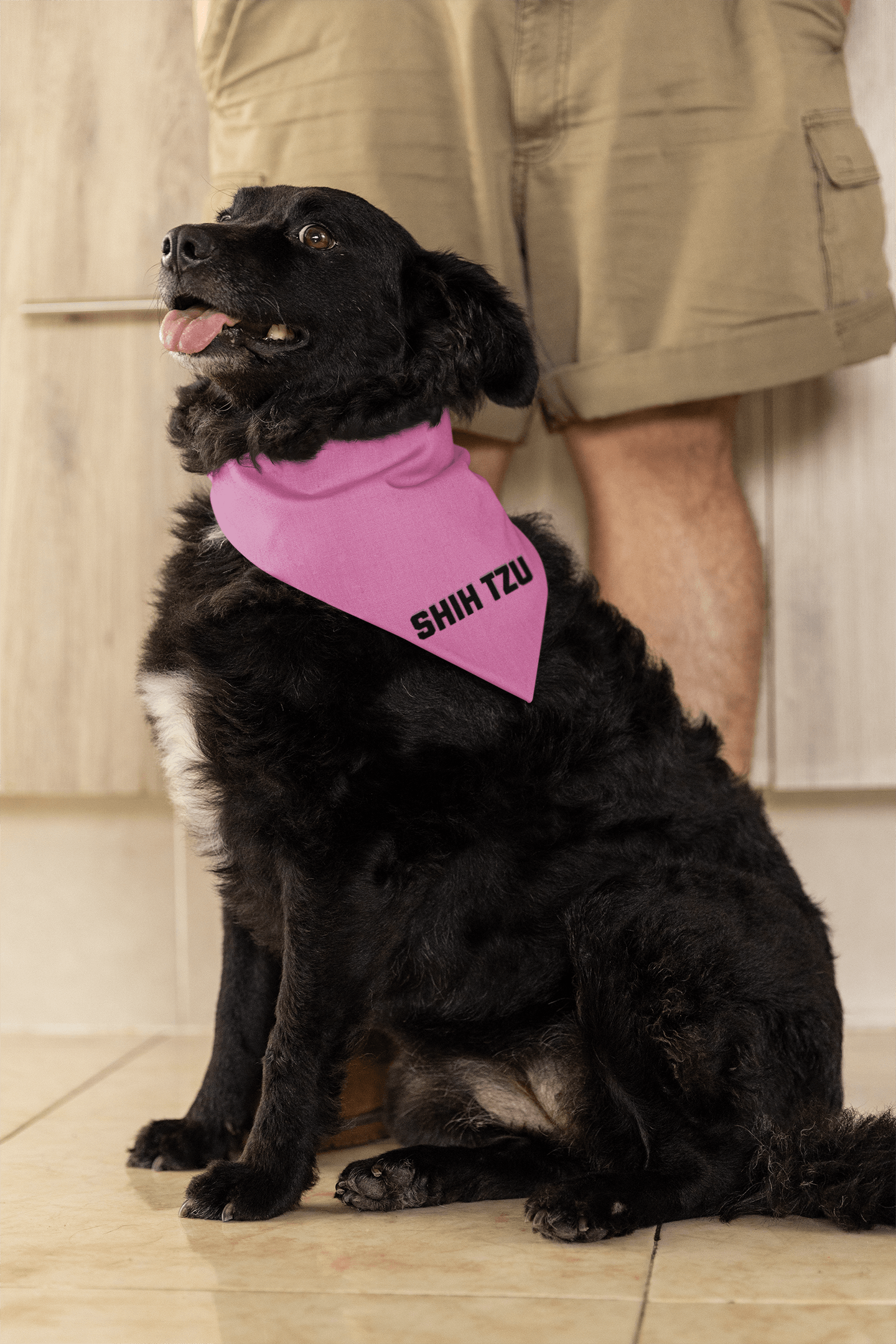 Trendy Shih Tzu Text Dog Bandana – Stylish & Comfortable Pet Wear